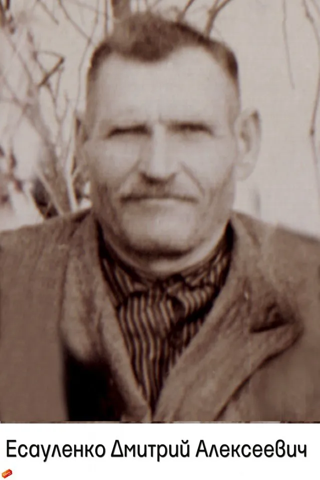 Есауленко Д.А.