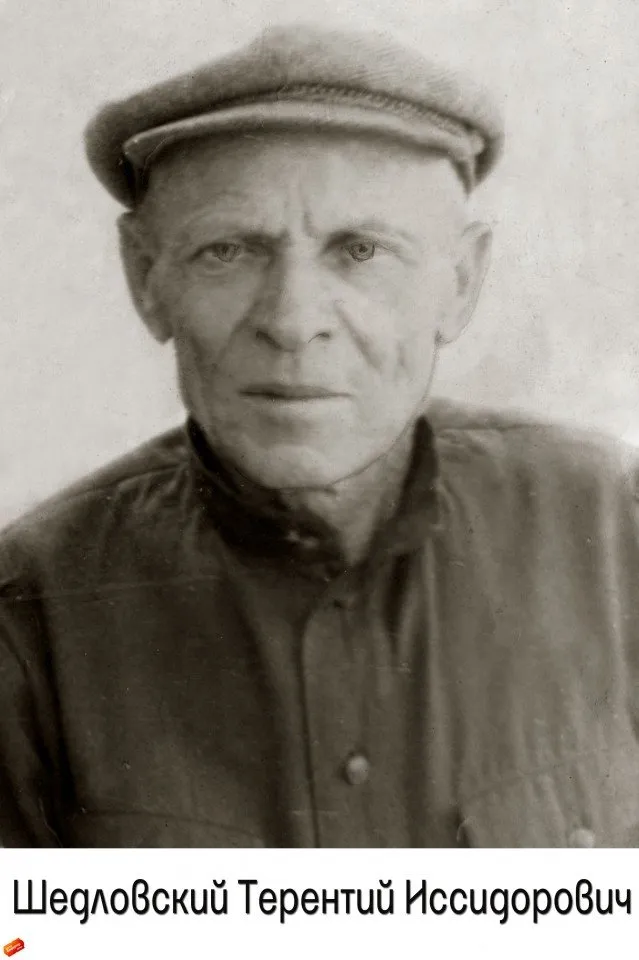 Шедловский Т.И.